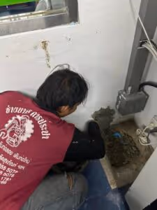 ภาพแกลลอรี่ 8