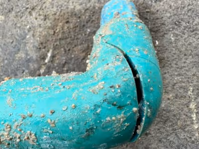 ภาพแกลลอรี่ 6