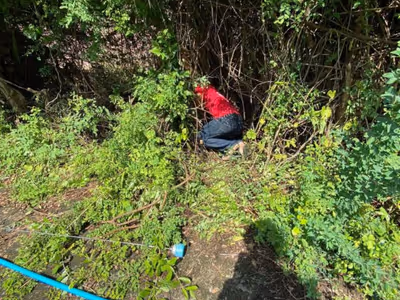 ภาพแกลลอรี่ 4